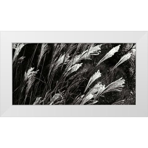 Wind Dancers II White Modern Wood Framed Art Print by Hausenflock, Alan