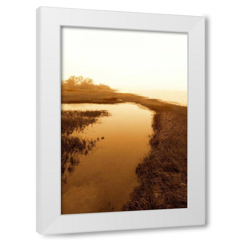 Harkers Island Marsh II White Modern Wood Framed Art Print by Hausenflock, Alan