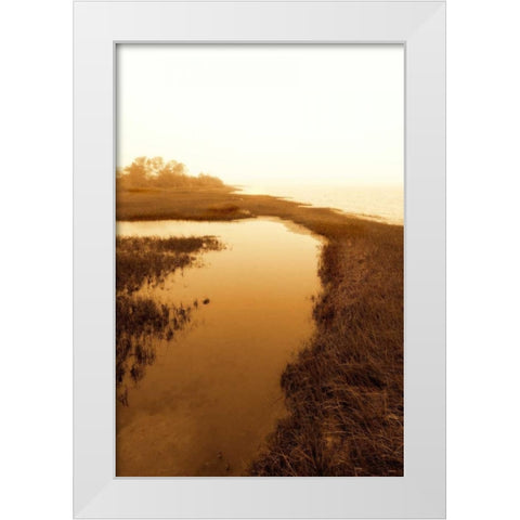 Harkers Island Marsh II White Modern Wood Framed Art Print by Hausenflock, Alan