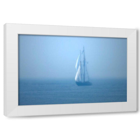 Virginia White Modern Wood Framed Art Print by Hausenflock, Alan