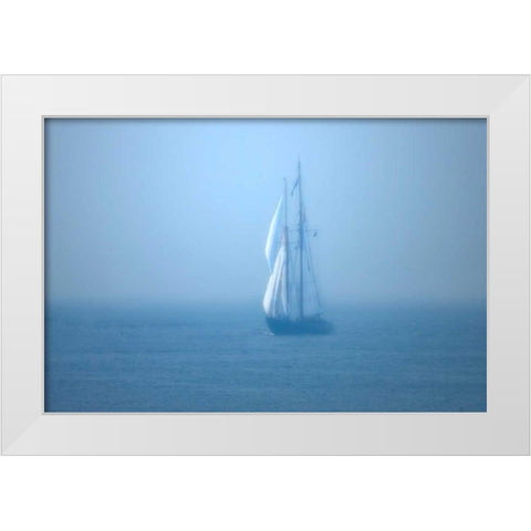 Virginia White Modern Wood Framed Art Print by Hausenflock, Alan