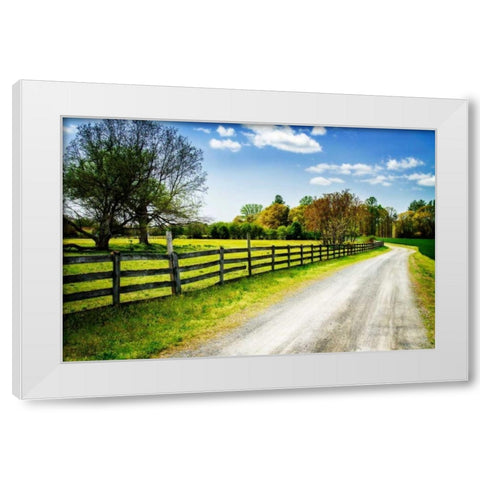 Spring on the Farm I White Modern Wood Framed Art Print by Hausenflock, Alan