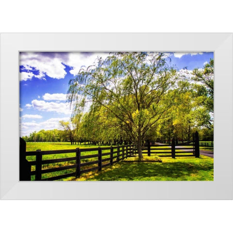 Spring on the Farm II White Modern Wood Framed Art Print by Hausenflock, Alan