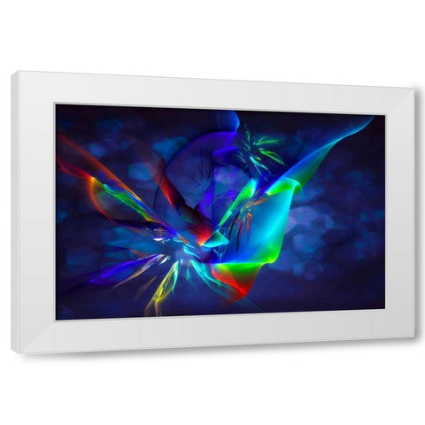 Frenzy II White Modern Wood Framed Art Print by Hausenflock, Alan