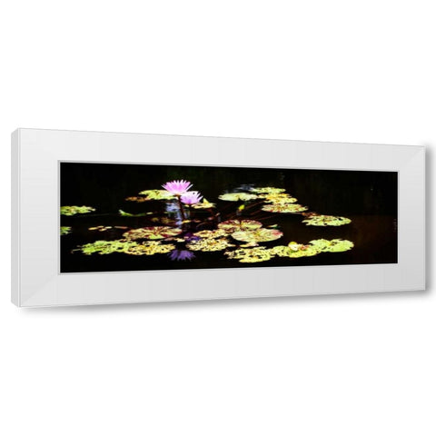 Lake Lilies I White Modern Wood Framed Art Print by Hausenflock, Alan