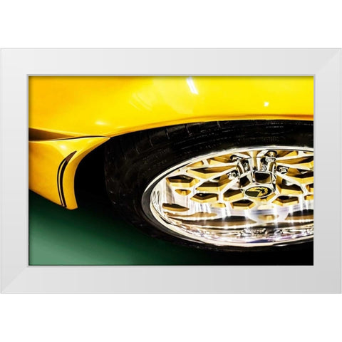 Firebird White Modern Wood Framed Art Print by Hausenflock, Alan