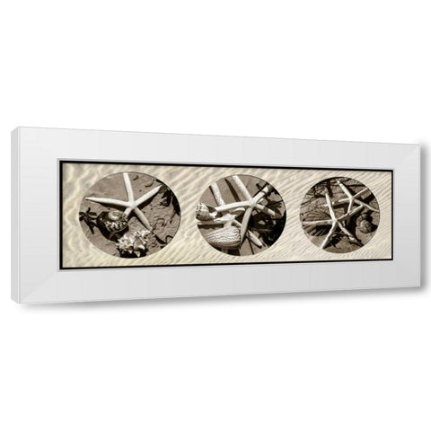 Starfish White Modern Wood Framed Art Print by Hausenflock, Alan