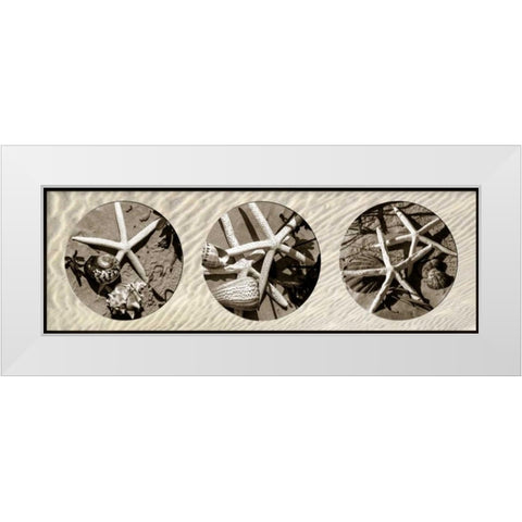 Starfish White Modern Wood Framed Art Print by Hausenflock, Alan