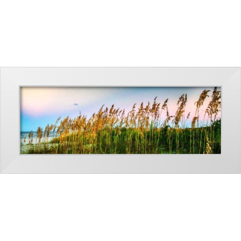 Days End I White Modern Wood Framed Art Print by Hausenflock, Alan