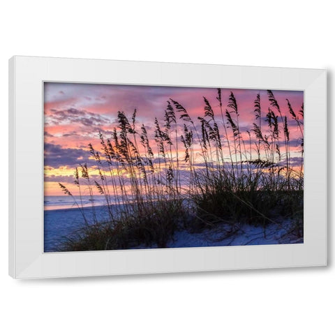 Ragged Sunrise IV White Modern Wood Framed Art Print by Hausenflock, Alan