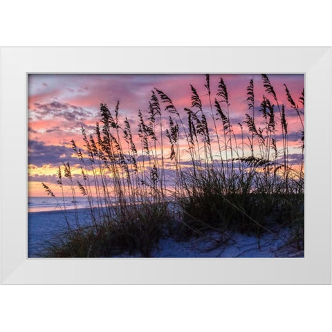 Ragged Sunrise IV White Modern Wood Framed Art Print by Hausenflock, Alan