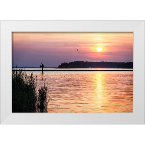 Ospreys at Sunset White Modern Wood Framed Art Print by Hausenflock, Alan