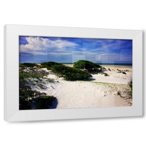 Windswept Beach White Modern Wood Framed Art Print by Hausenflock, Alan