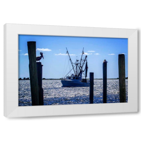 Bringing The Catch In II White Modern Wood Framed Art Print by Hausenflock, Alan