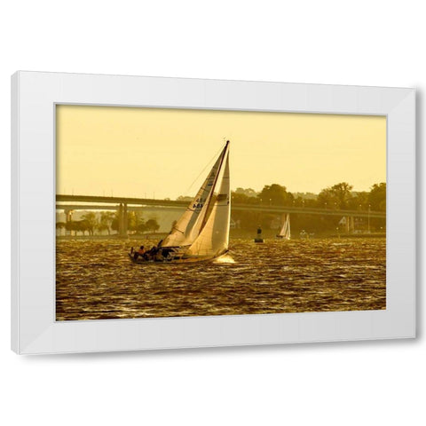Severn River Sailing I White Modern Wood Framed Art Print by Hausenflock, Alan