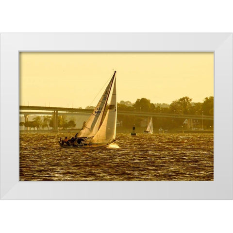 Severn River Sailing I White Modern Wood Framed Art Print by Hausenflock, Alan