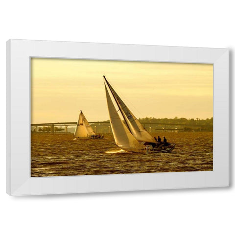 Severn River Sailing II White Modern Wood Framed Art Print by Hausenflock, Alan