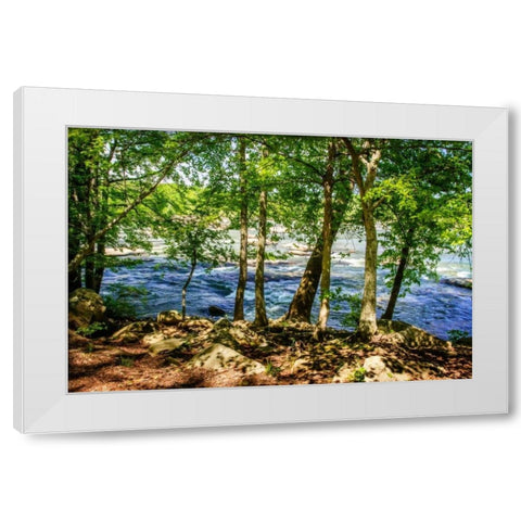 Spring On The River I White Modern Wood Framed Art Print by Hausenflock, Alan