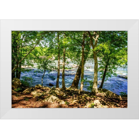 Spring On The River I White Modern Wood Framed Art Print by Hausenflock, Alan