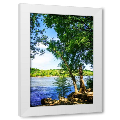 Spring On The River III White Modern Wood Framed Art Print by Hausenflock, Alan