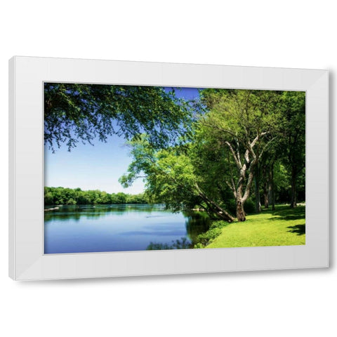 Spring On The River V White Modern Wood Framed Art Print by Hausenflock, Alan