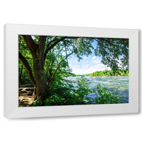 Spring On The River VII White Modern Wood Framed Art Print by Hausenflock, Alan