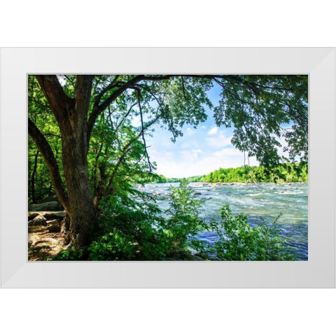 Spring On The River VII White Modern Wood Framed Art Print by Hausenflock, Alan