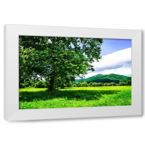 Rappahannock County II White Modern Wood Framed Art Print by Hausenflock, Alan