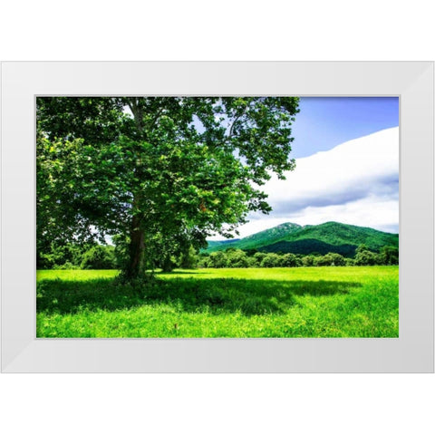 Rappahannock County II White Modern Wood Framed Art Print by Hausenflock, Alan