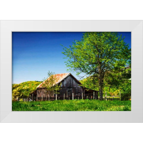 Old Backyard Barn White Modern Wood Framed Art Print by Hausenflock, Alan