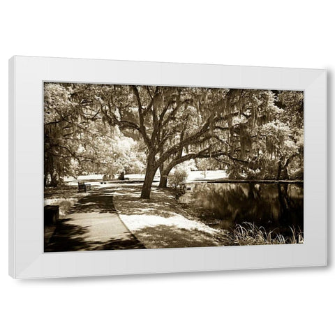 Walkers Pond I White Modern Wood Framed Art Print by Hausenflock, Alan