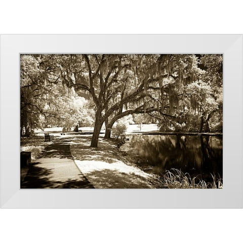 Walkers Pond I White Modern Wood Framed Art Print by Hausenflock, Alan