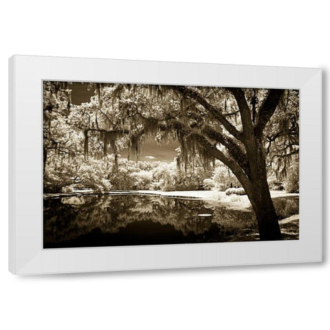 Walkers Pond II White Modern Wood Framed Art Print by Hausenflock, Alan