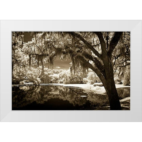 Walkers Pond II White Modern Wood Framed Art Print by Hausenflock, Alan