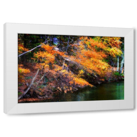 Color Of Fall III White Modern Wood Framed Art Print by Hausenflock, Alan