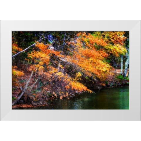 Color Of Fall III White Modern Wood Framed Art Print by Hausenflock, Alan