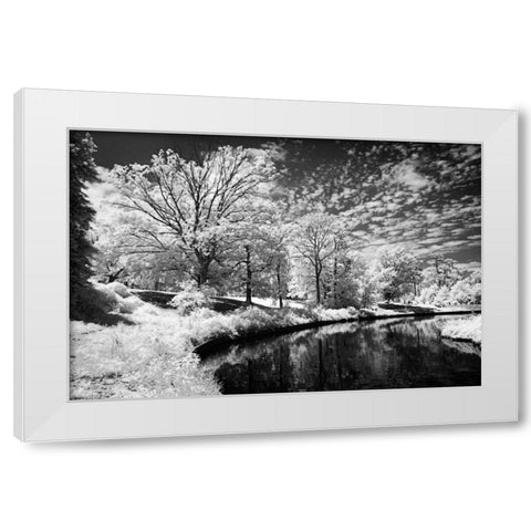 Bryan Lake II White Modern Wood Framed Art Print by Hausenflock, Alan