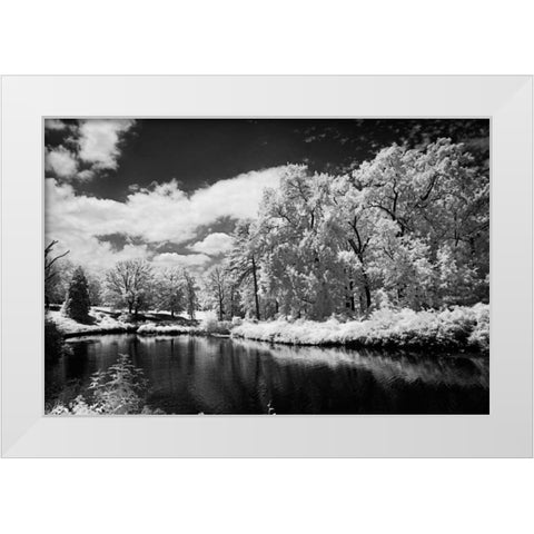 Bryan Lake IV White Modern Wood Framed Art Print by Hausenflock, Alan