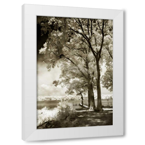 Cobb Island III White Modern Wood Framed Art Print by Hausenflock, Alan