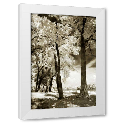 Cobb Island IV White Modern Wood Framed Art Print by Hausenflock, Alan