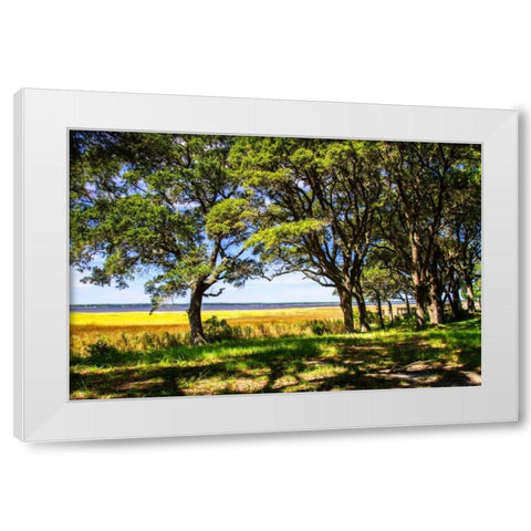 Cape Fear Overlook White Modern Wood Framed Art Print by Hausenflock, Alan