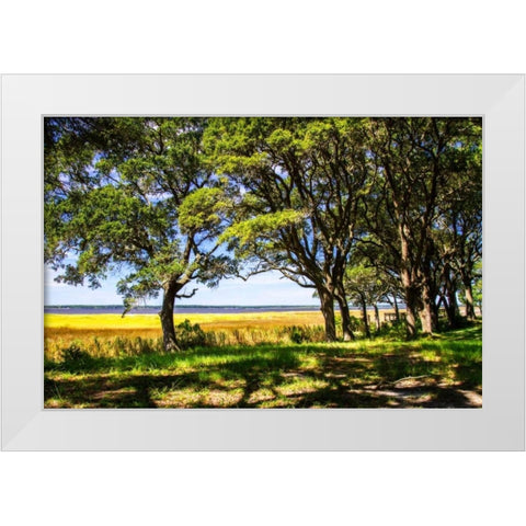 Cape Fear Overlook White Modern Wood Framed Art Print by Hausenflock, Alan