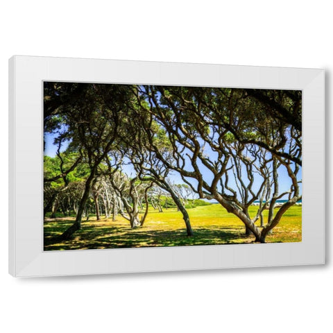 Windswept Barrier Island White Modern Wood Framed Art Print by Hausenflock, Alan