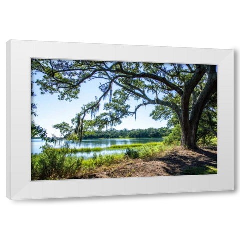 Bradley Creek II White Modern Wood Framed Art Print by Hausenflock, Alan