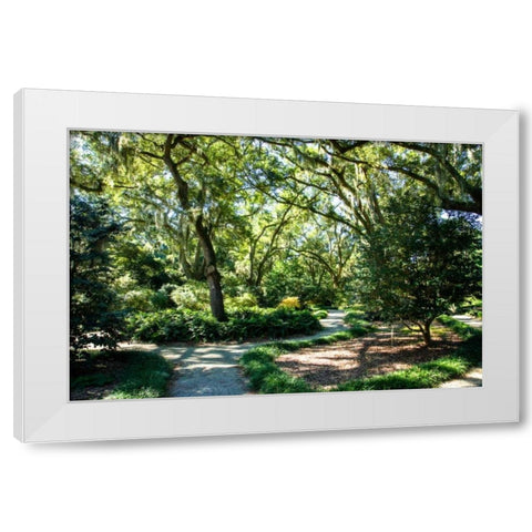 Garden By The Sea II White Modern Wood Framed Art Print by Hausenflock, Alan