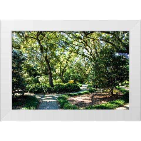 Garden By The Sea II White Modern Wood Framed Art Print by Hausenflock, Alan