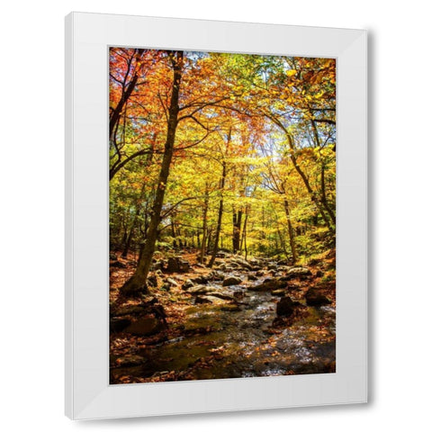 Picnic Perfect III White Modern Wood Framed Art Print by Hausenflock, Alan