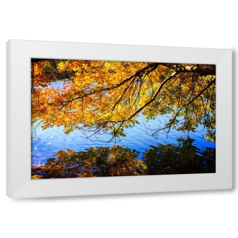 Autumn Reflections I White Modern Wood Framed Art Print by Hausenflock, Alan