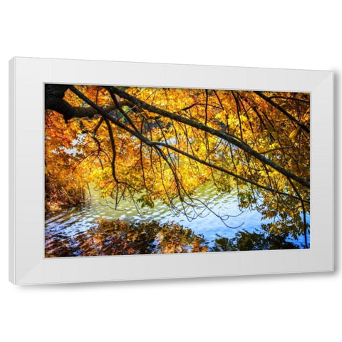 Autumn Reflections II White Modern Wood Framed Art Print by Hausenflock, Alan