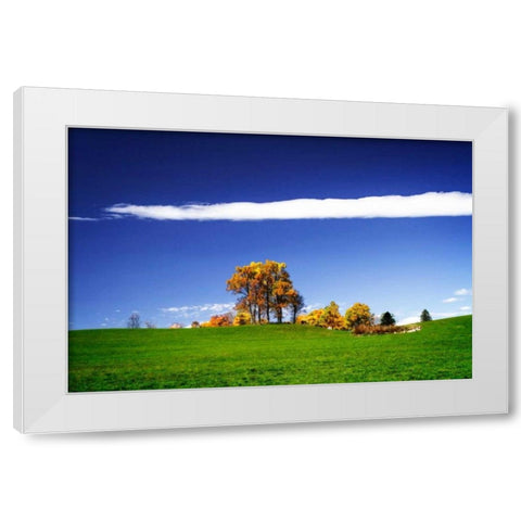 Meadows of Dan I White Modern Wood Framed Art Print by Hausenflock, Alan